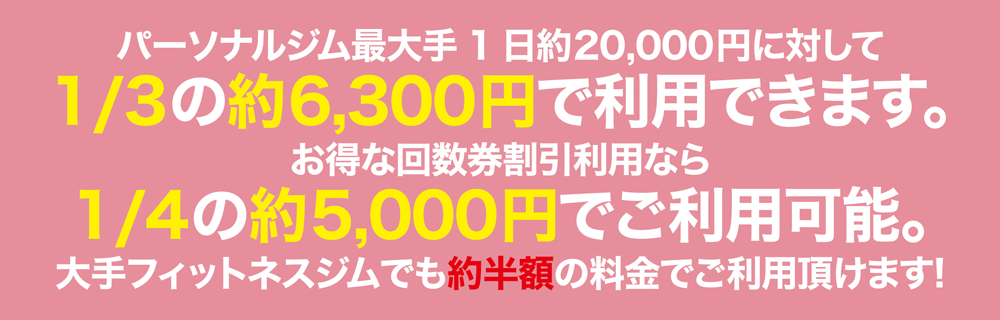一般価格の1/3のレッスン料